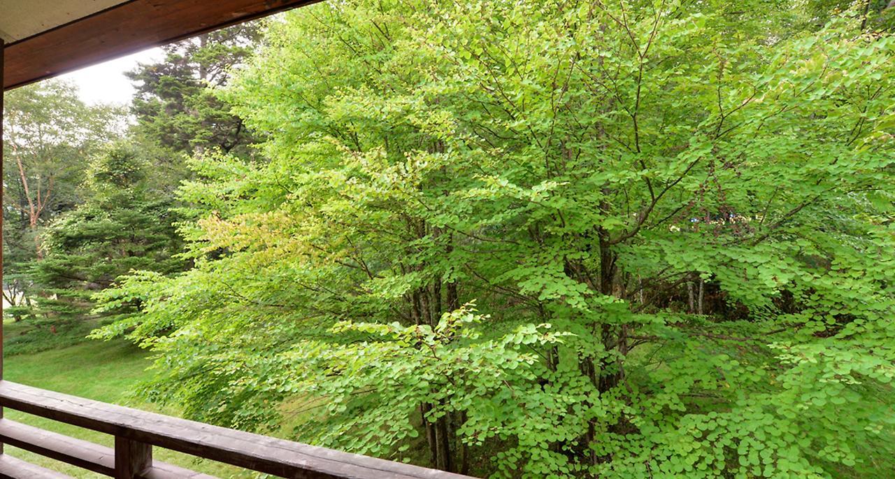 Nikko Yumoto Onsen Honokana Yado Jurin Exteriér fotografie